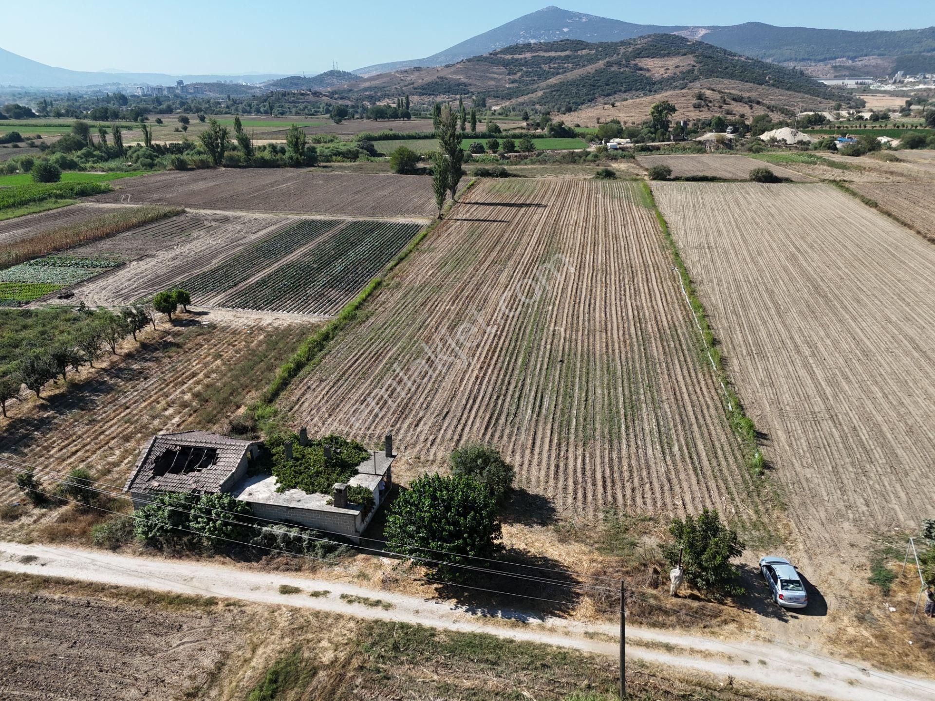 Milas Kızılcayıkık Mahallesi – 10.067 M2 Yatırımlık Tarla & Müstakil Ev - Görsel 29