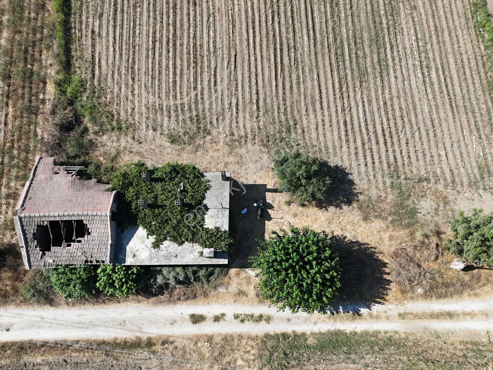 Milas Kızılcayıkık Mahallesi – 10.067 M2 Yatırımlık Tarla & Müstakil Ev - Görsel 8