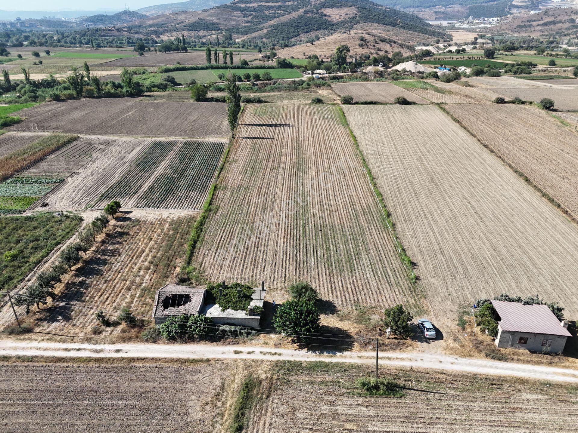 Milas Kızılcayıkık Mahallesi – 10.067 M2 Yatırımlık Tarla & Müstakil Ev - Görsel 14