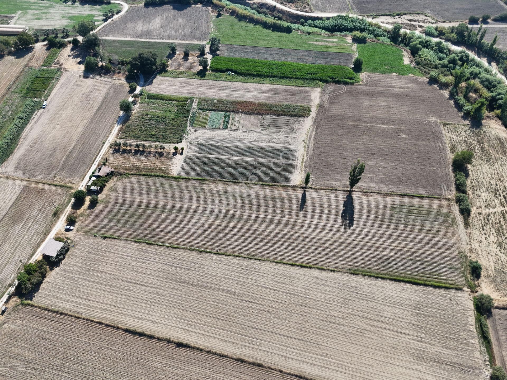 Milas Kızılcayıkık Mahallesi – 10.067 M2 Yatırımlık Tarla & Müstakil Ev - Görsel 16