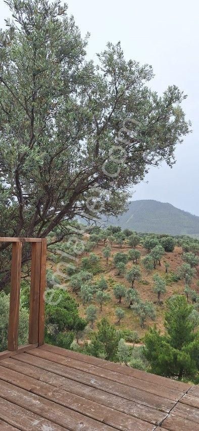 Orhanlıda 600 M2 Arsa İçinde Satılık Eşyalı Müstakil Taş Ev - Görsel 17