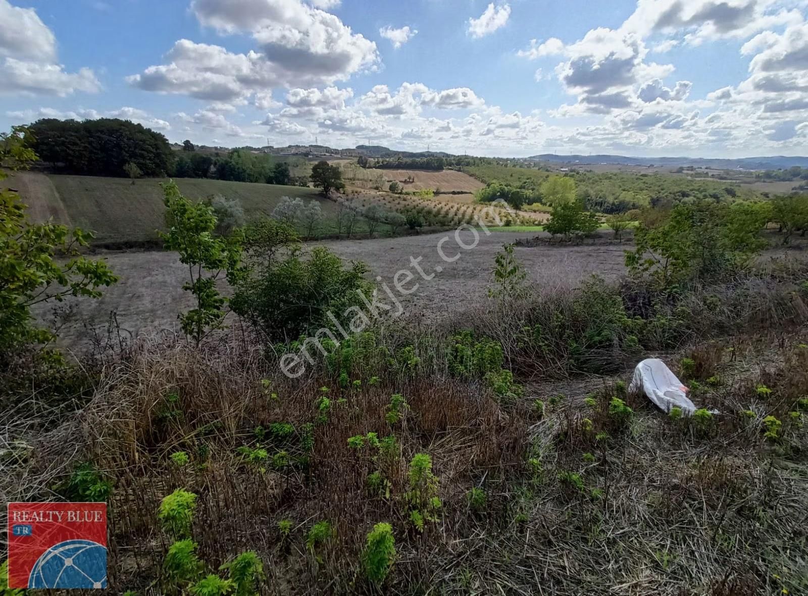 Sakarya Kaynarca Köyün Dininde 4673 M2 Tarla - Görsel 19