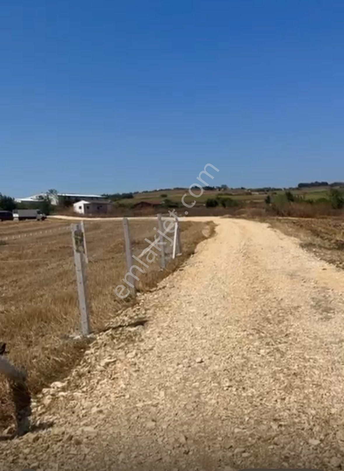 Silivri Bekirli 396 M2 Çevrili - Görsel 2