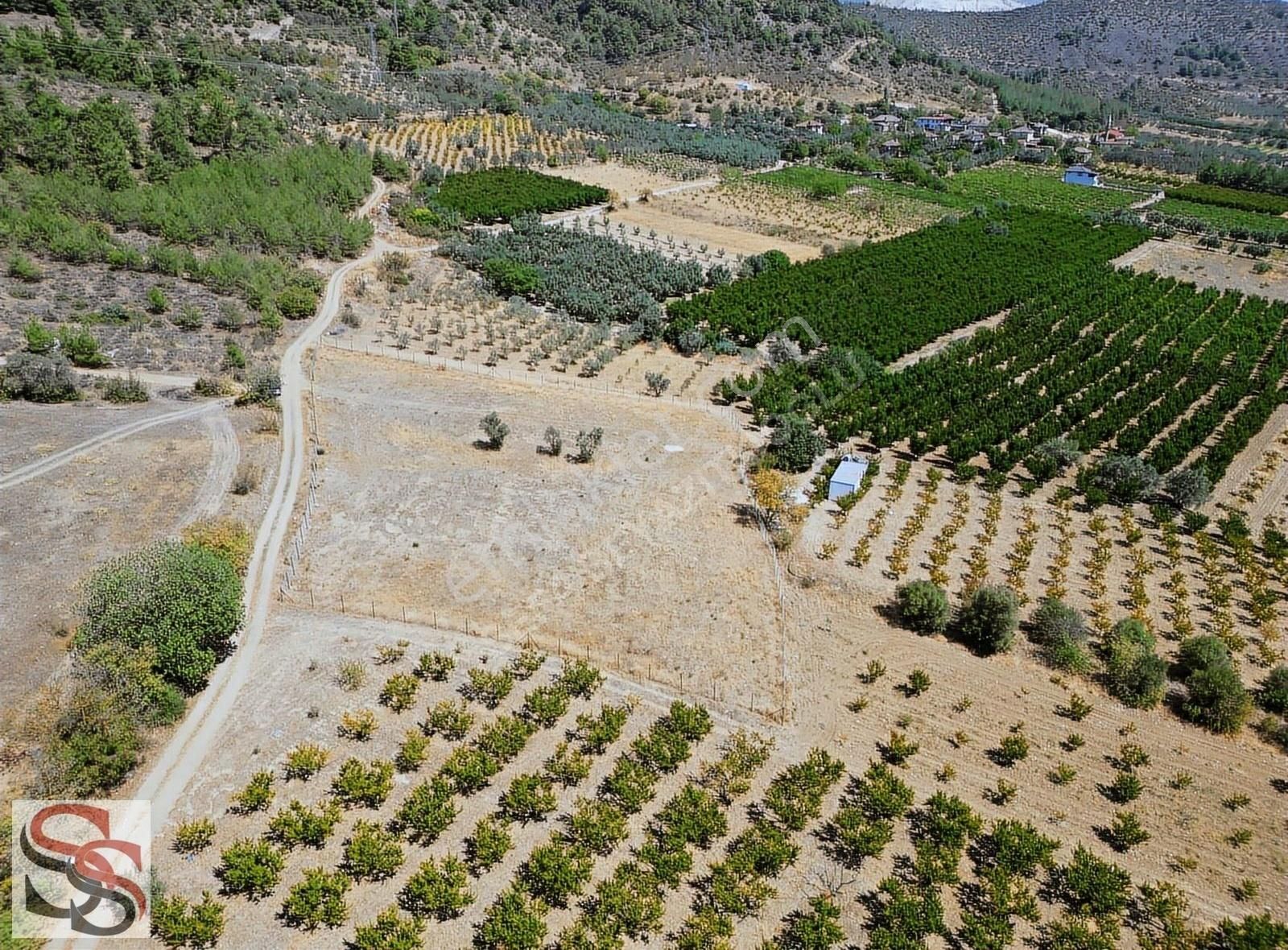 Pamukova Oruçlu Mah. Muhteşem Konumda 3.867 M² Tarla - Görsel 23