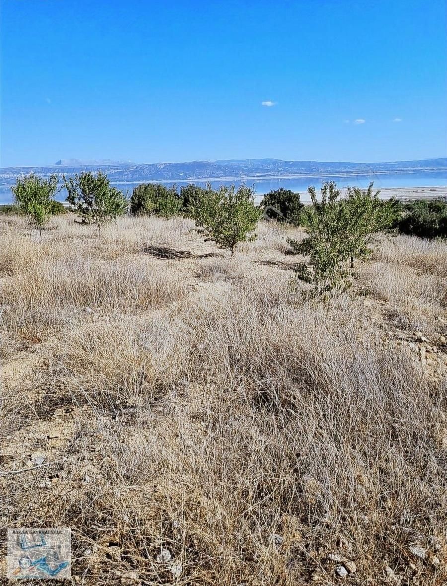 Aysa'dan İlyas Köy Merkezi Yakını 1800metrekare Tarla - Görsel 5