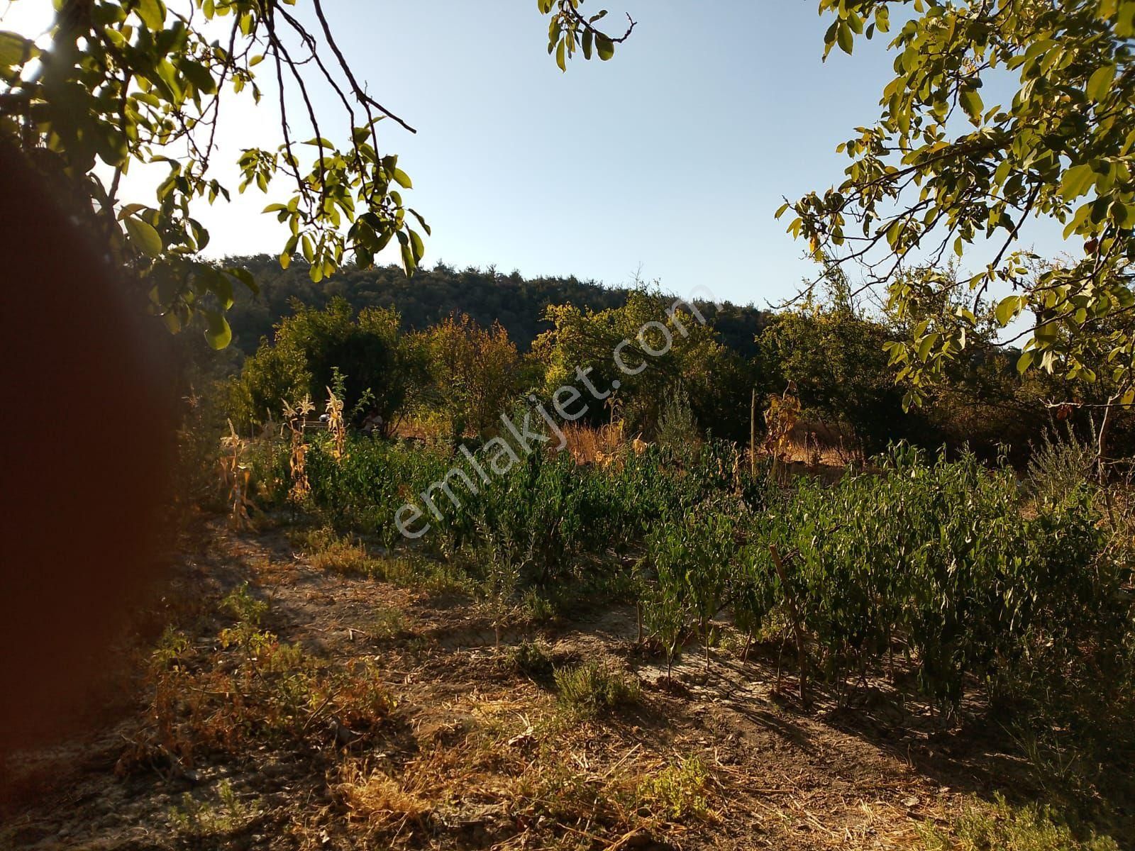Koyuneli Mahallesi'nde Satılık Bahçe - Görsel 7