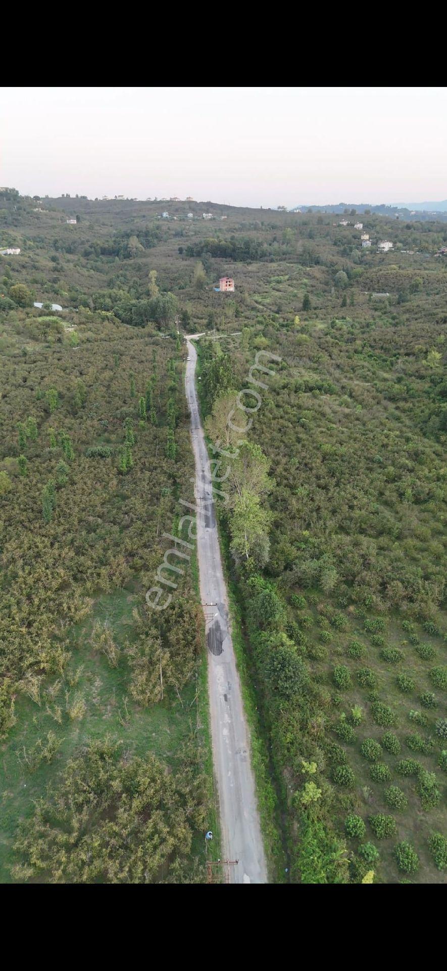 Fatsa Bolaman’da 676.33 M2 Arsa Yatırım Ve Yaşam İçin Eşsiz Fırsat! - Görsel 4