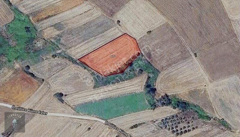 Örtülüce Köyü 3 Dönüme Yakın Tarla Fırsatı - Görsel 2