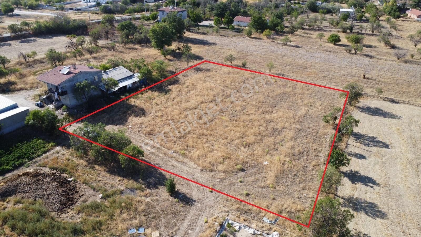 Afyon Üçok Emlaktan Sülün De Satılık 3.587m² Yatırımlık Tarla - Görsel 5