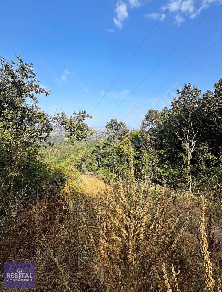 Rs Mutlu Kestel Kozluören De 9.843 M2 Satılık Yola Cephe Arazi - Görsel 6