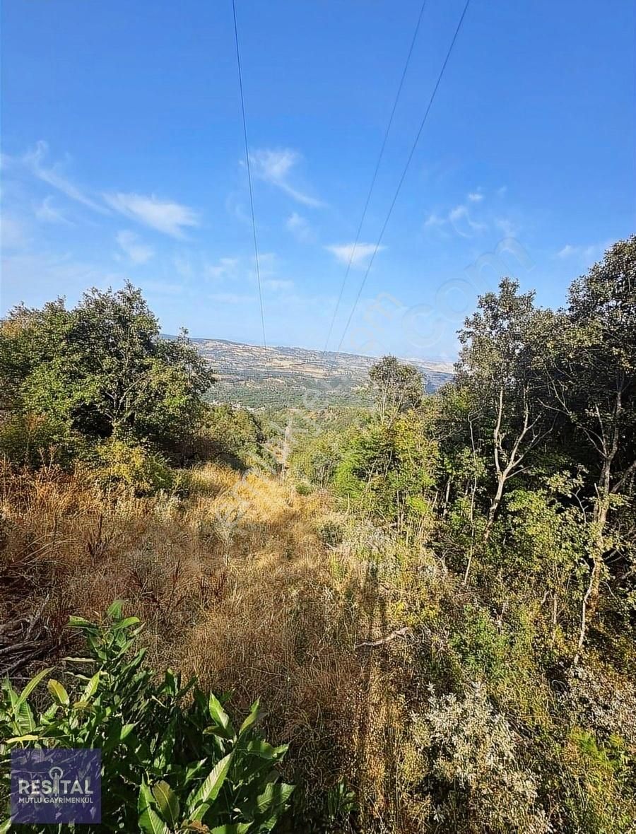 Rs Mutlu Kestel Kozluören De 9.843 M2 Satılık Yola Cephe Arazi - Görsel 3