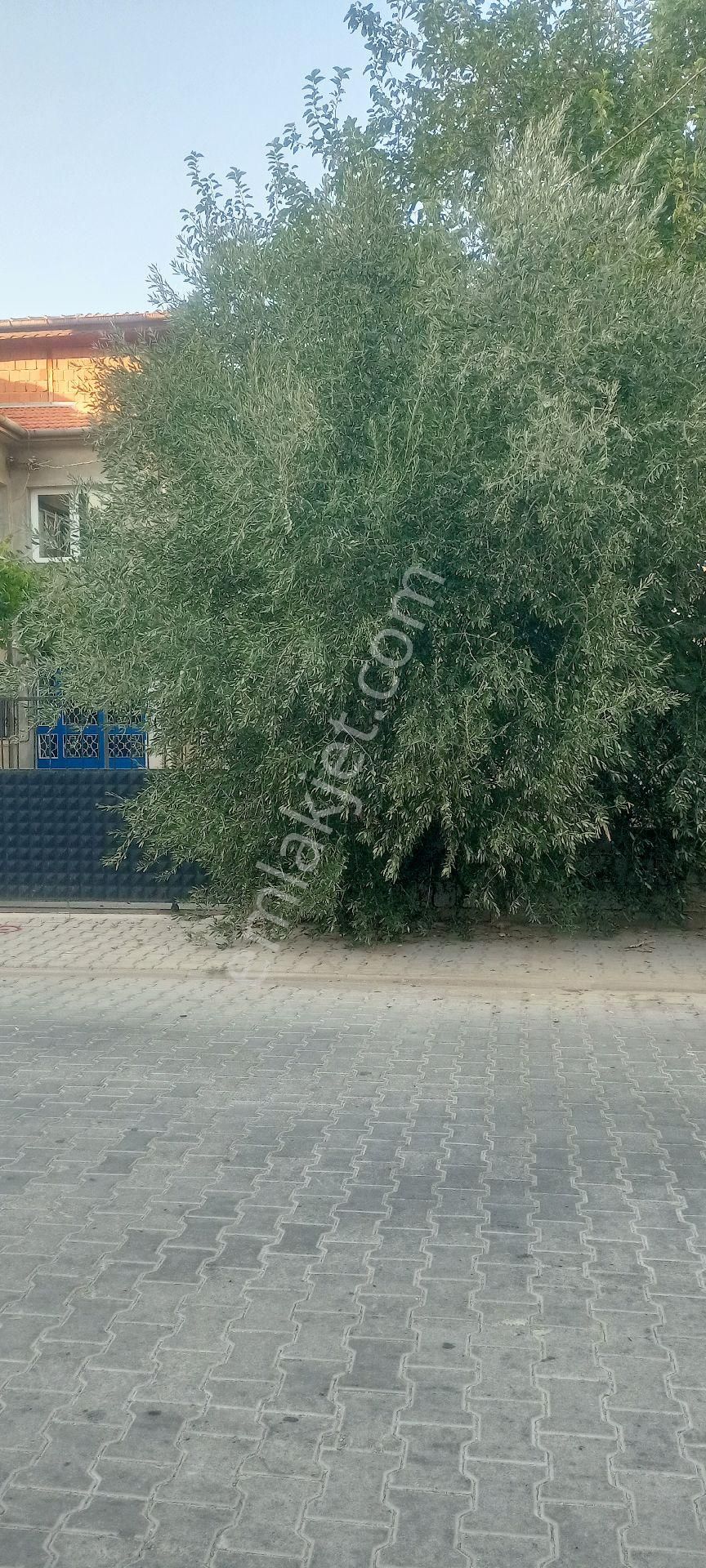 Muğla Ortaca Satılık Arsa - Görsel 6