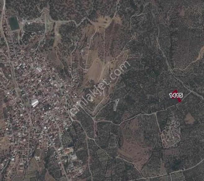 Piar'dan Yatırımlık Fırsat Kelepir Zeytinlik - Görsel 2