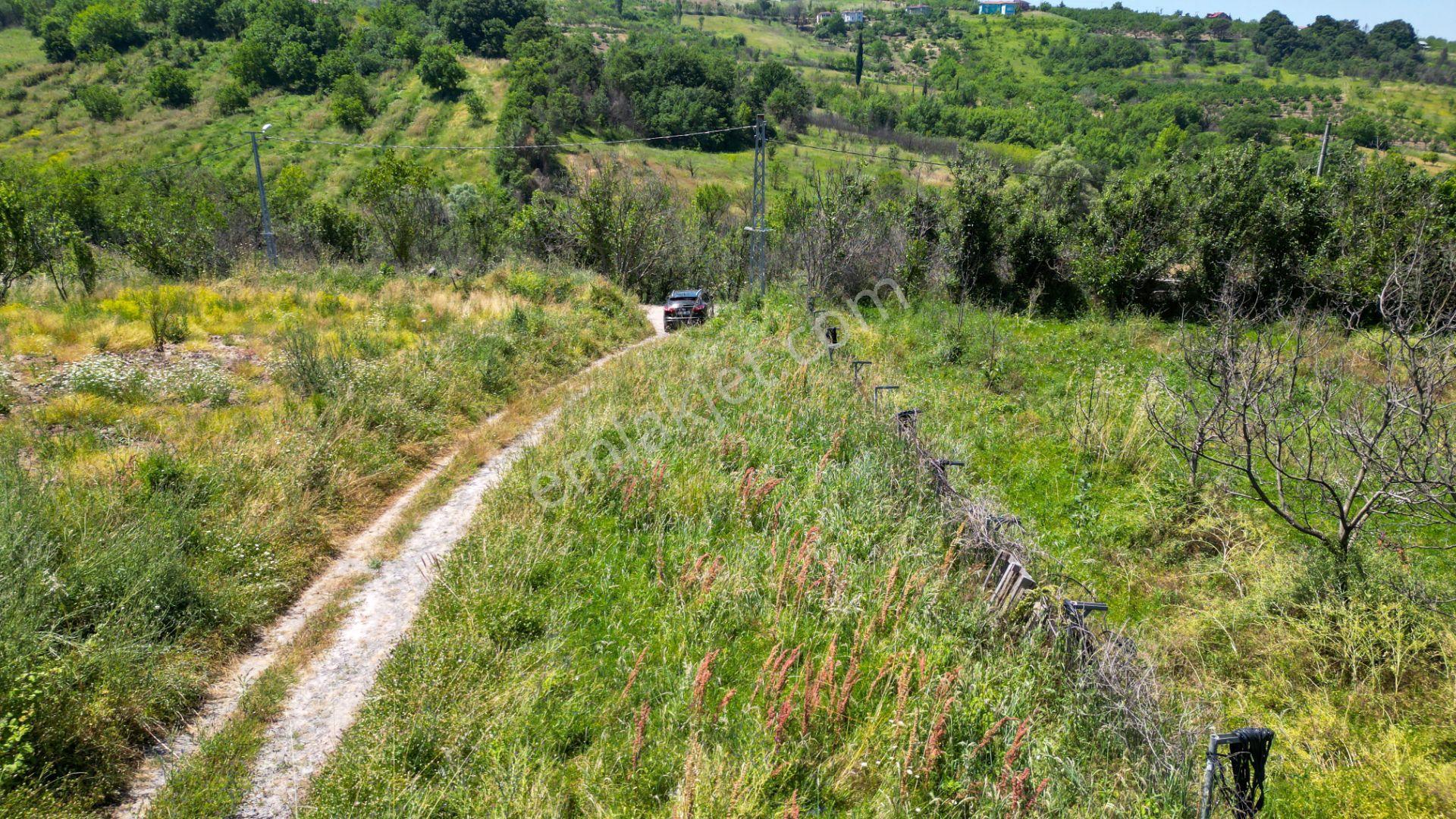 Kocaeli Karamürsel Akçat 209 M2 Satılık Hobi Bahçesi - Görsel 8