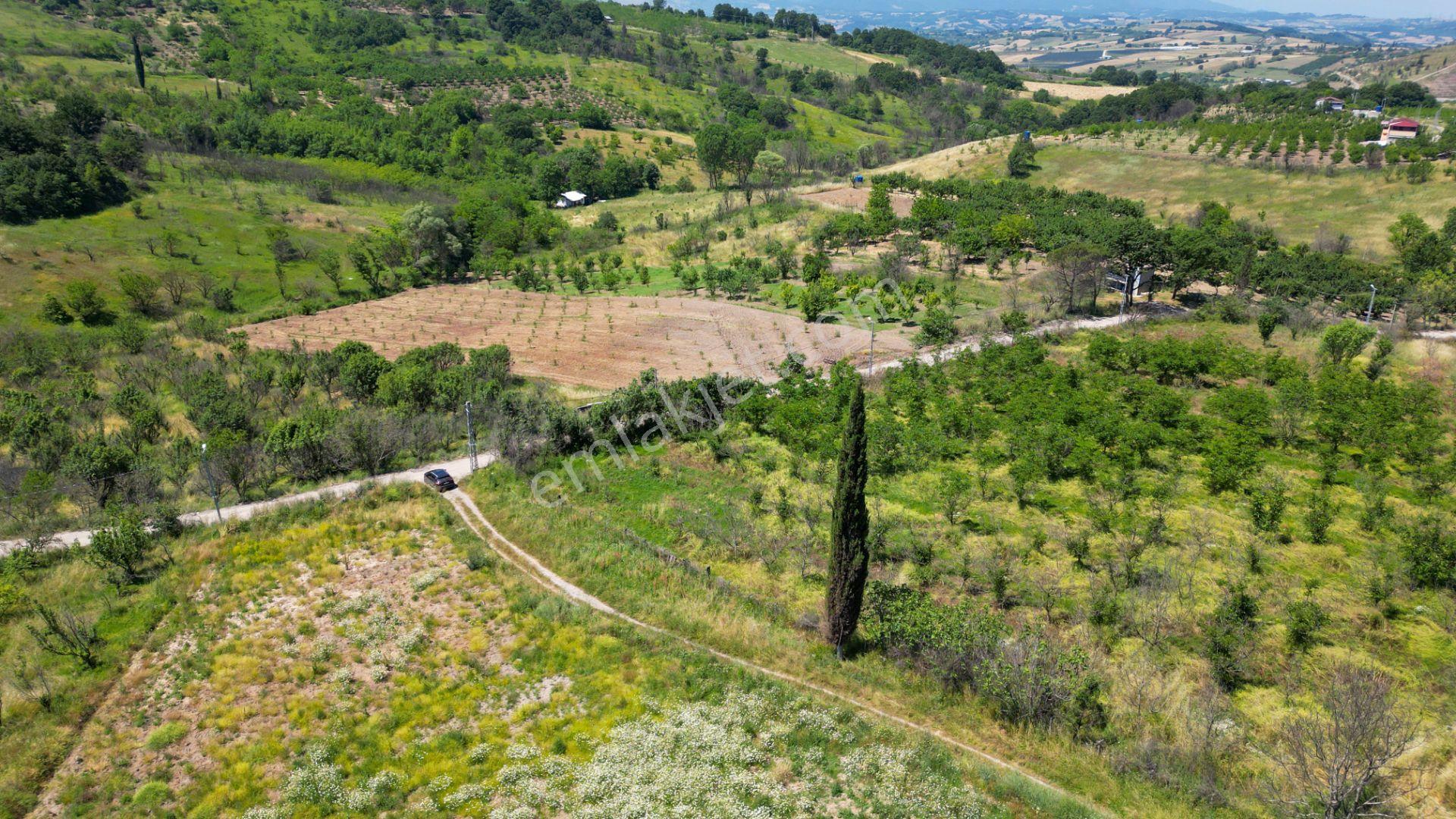Kocaeli Karamürsel Akçat 209 M2 Satılık Hobi Bahçesi - Görsel 5