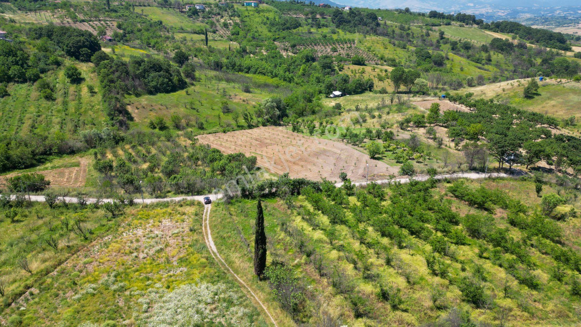 Kocaeli Karamürsel Akçat 209 M2 Satılık Hobi Bahçesi - Görsel 4