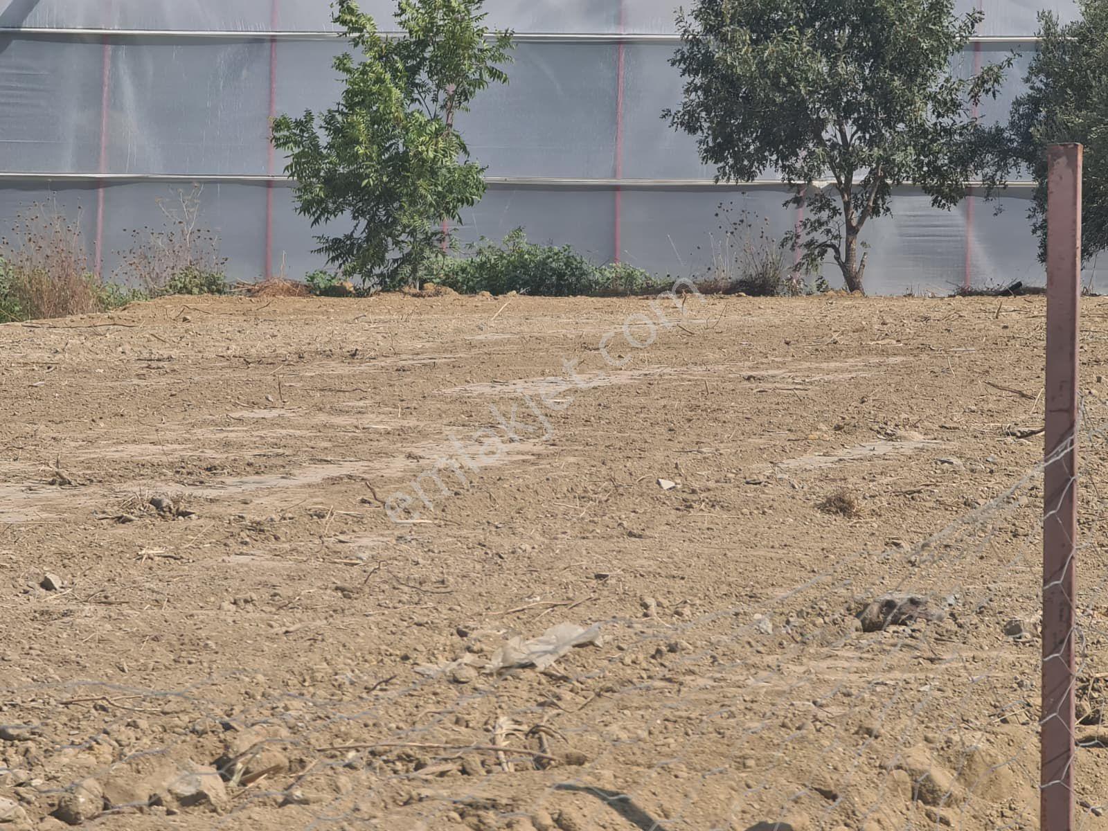 Çolaklıda Denize 19⁰0 Mt. D400 E 400 Mt. Lojman Konut 20/60imarlı Arsa - Görsel 2