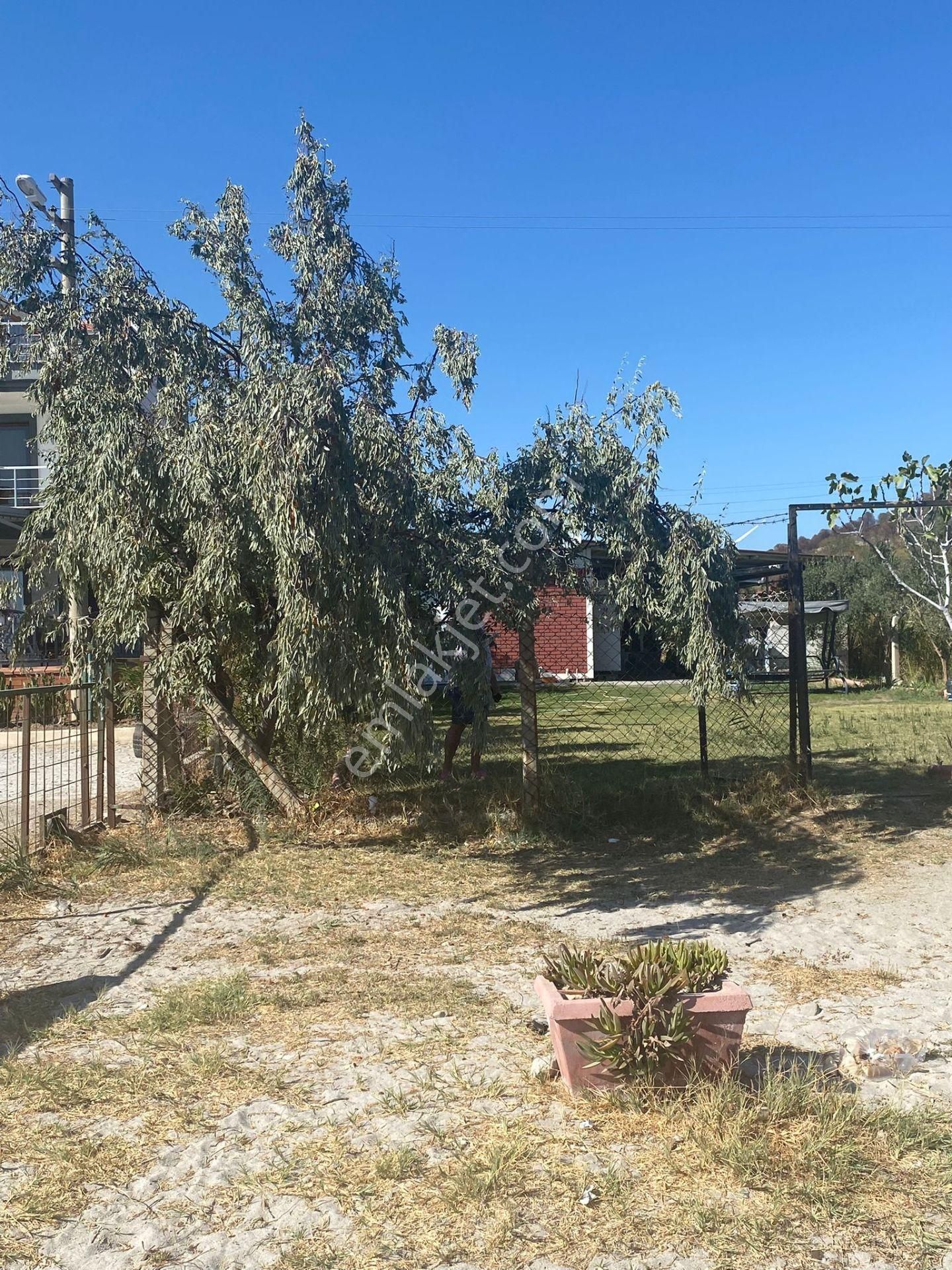 Turyap'tan Çandarlı'da Denize Sıfır 639 M2 Satılık Arsa - Görsel 24