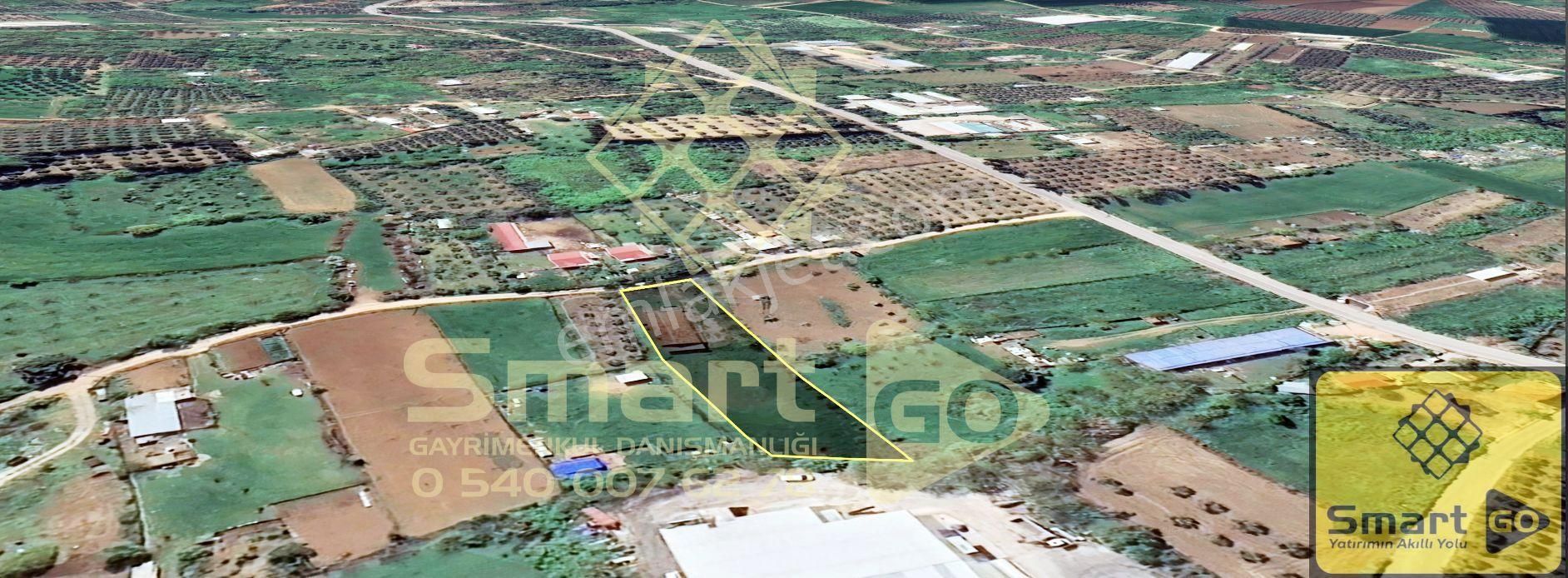 Edincik'de 1.940 M² Satılık Bağ - Görsel 14