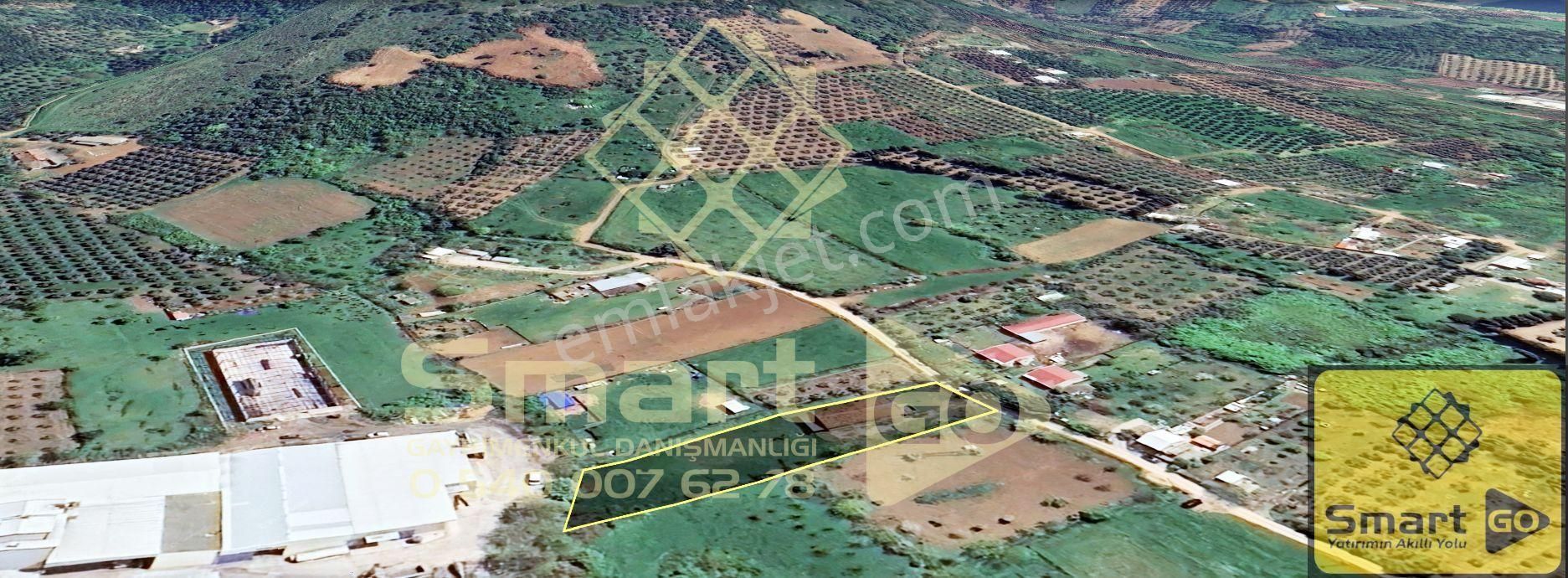 Edincik'de 1.940 M² Satılık Bağ - Görsel 11