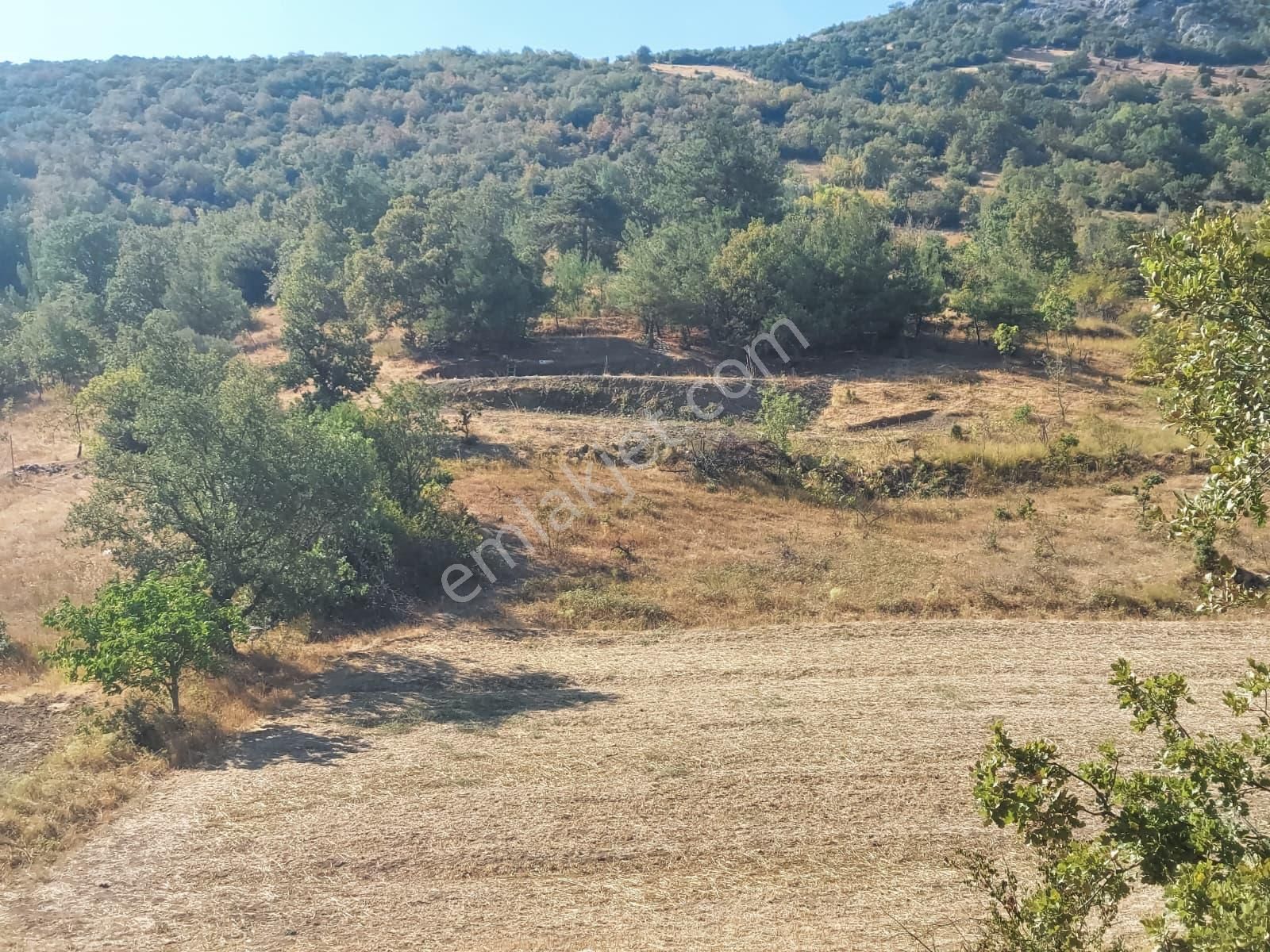 Dışkaya Köyünde Müstakil Tapulu Satılık Bağ Araç Takası Olur - Görsel 4