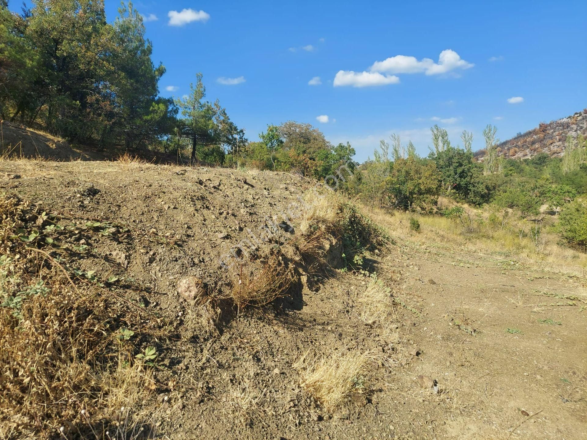 Dışkaya Köyünde Müstakil Tapulu Satılık Bağ Araç Takası Olur - Görsel 12