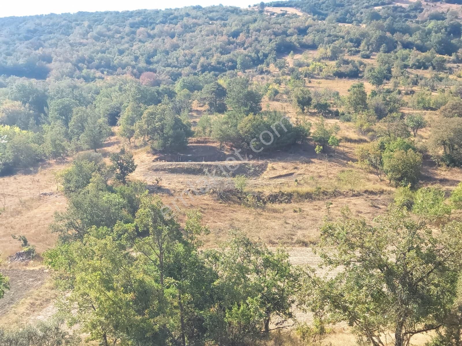 Dışkaya Köyünde Müstakil Tapulu Satılık Bağ Araç Takası Olur - Görsel 7
