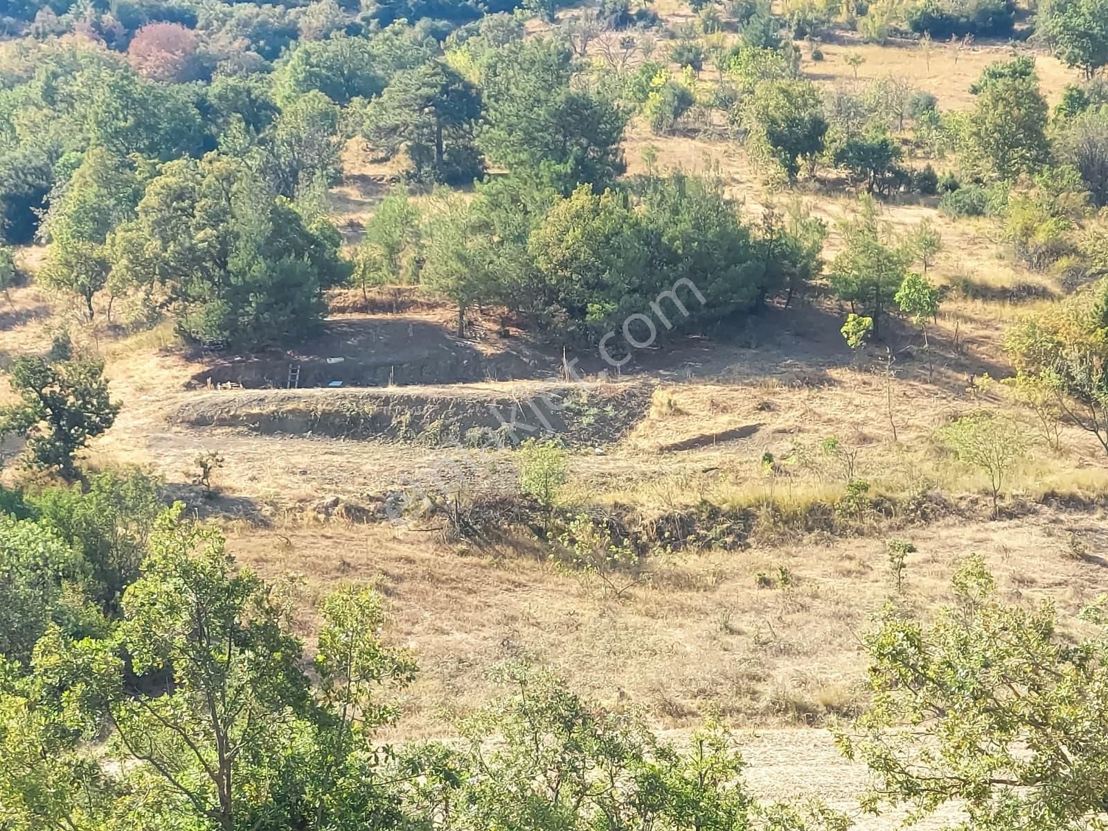Dışkaya Köyünde Müstakil Tapulu Satılık Bağ Araç Takası Olur - Görsel 2