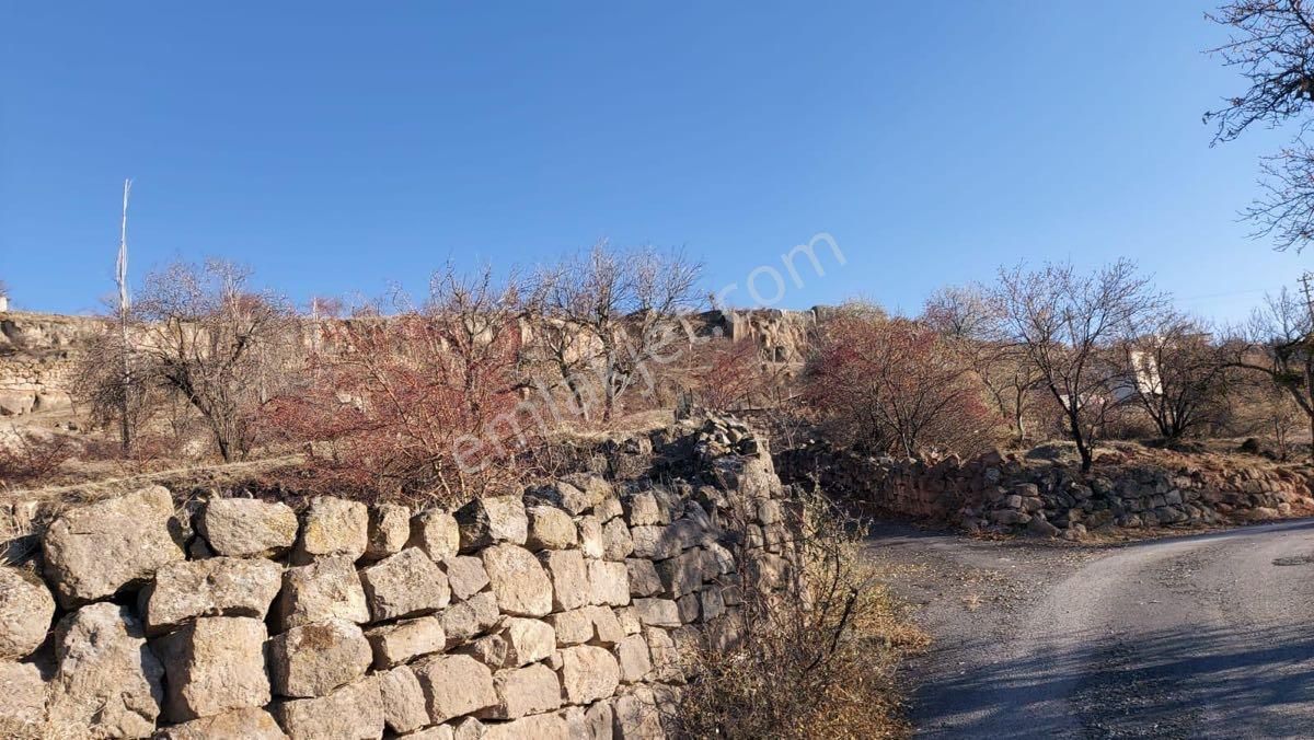 Kayseri Tavlusun’da Satılık Bağ&bahçe - Görsel 6