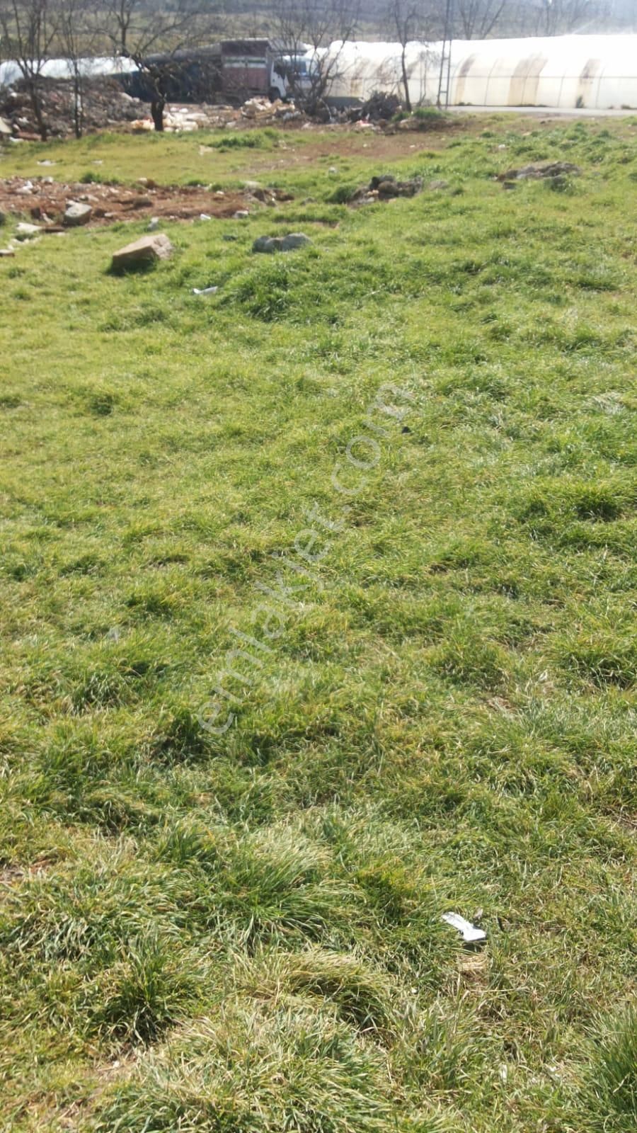 Çatalca Ovayenice De 930m Satılık İmarlı Düşeş Kazandıracak Arsa No:358