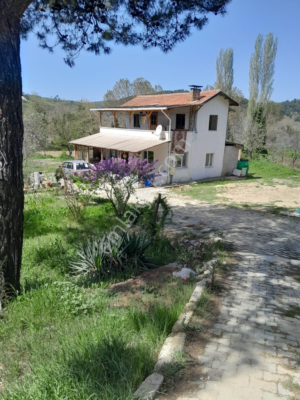 İmarlı Dubleks Ev, 3500m2, Zeytin Bahçesi,tarla,arsa Deniz Yakın - Görsel 24