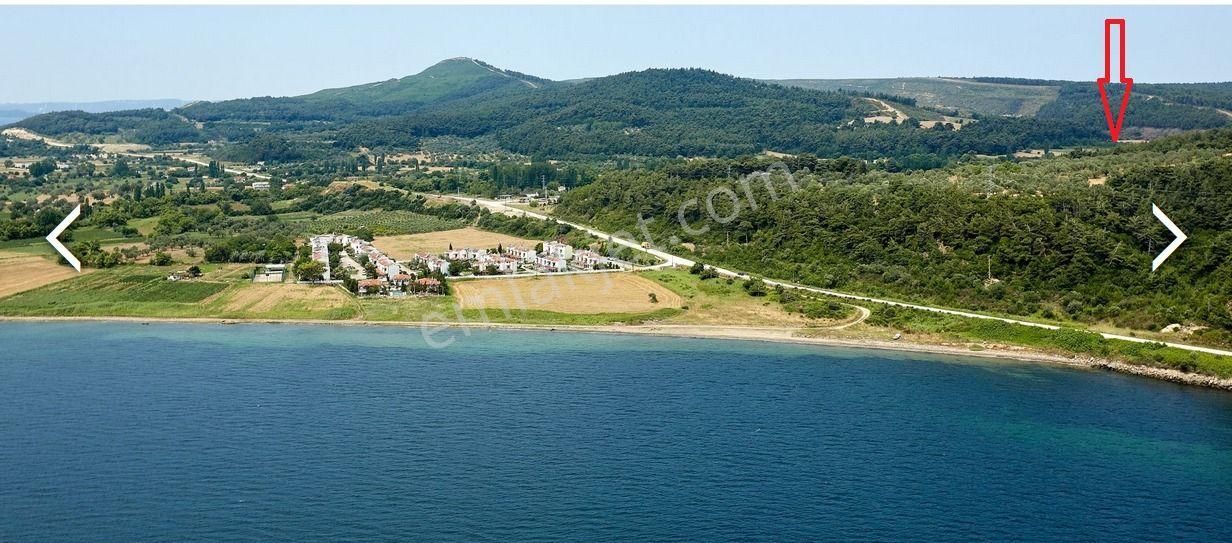 İmarlı Dubleks Ev, 3500m2, Zeytin Bahçesi,tarla,arsa Deniz Yakın - Görsel 33