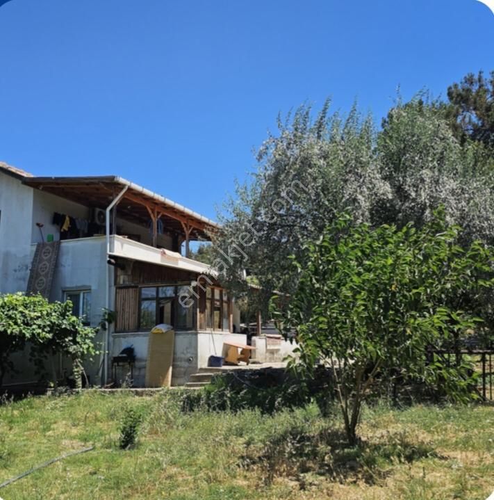 İmarlı Dubleks Ev, 3500m2, Zeytin Bahçesi,tarla,arsa Deniz Yakın