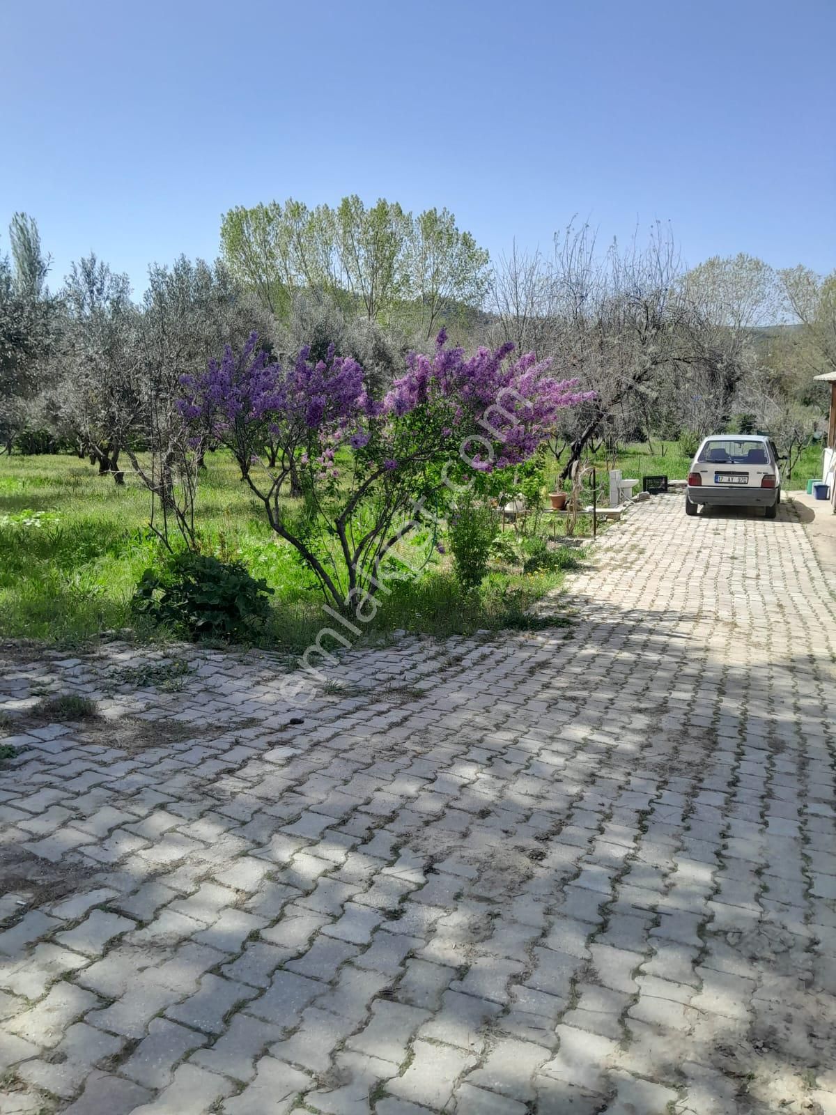 İmarlı Dubleks Ev, 3500m2, Zeytin Bahçesi,tarla,arsa Deniz Yakın - Görsel 27