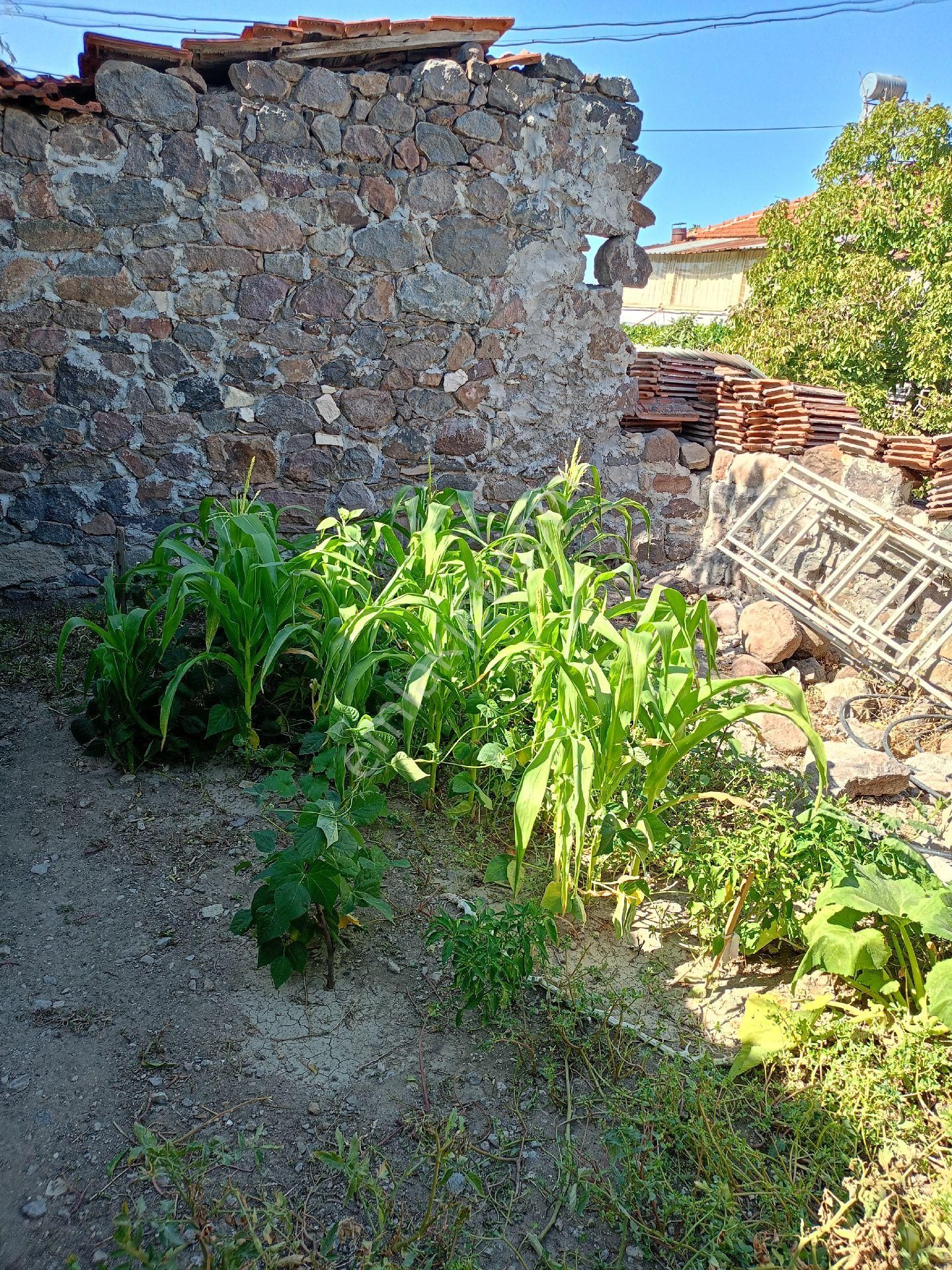 Koyuneli Mahallesi / Müstakil Tapu / Satılık Taş Ev / Bergama - Görsel 11