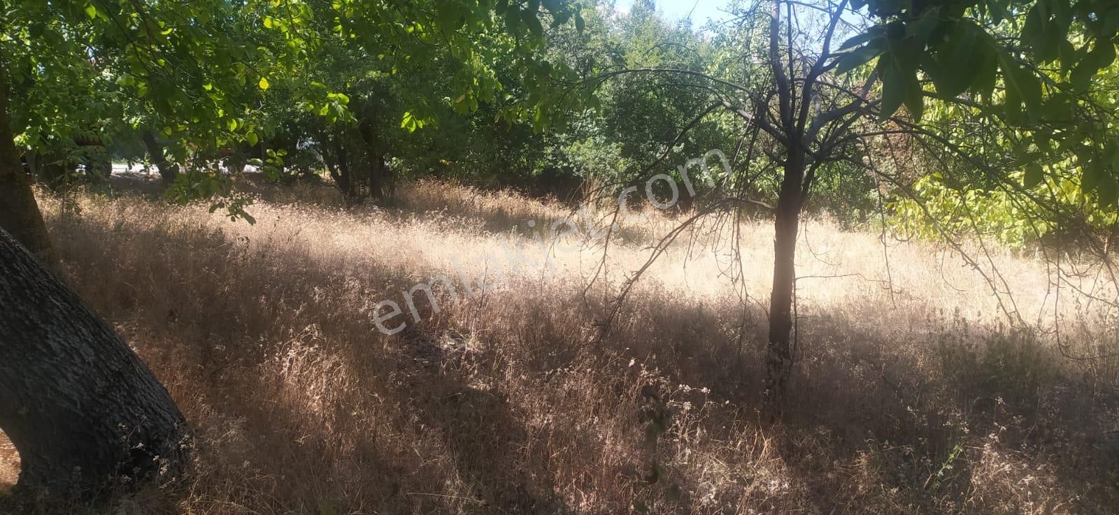 Asya Evim Emlaktan Burdur Ağlasun Balâ Mahallesin De Satılık 3 Arsa - Görsel 6