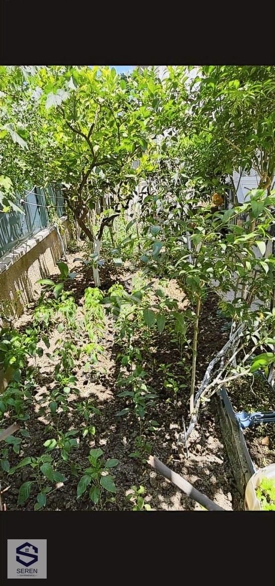 Payamlıda Yatırımlık Satılık Yazlık Denize 300 M - Görsel 18