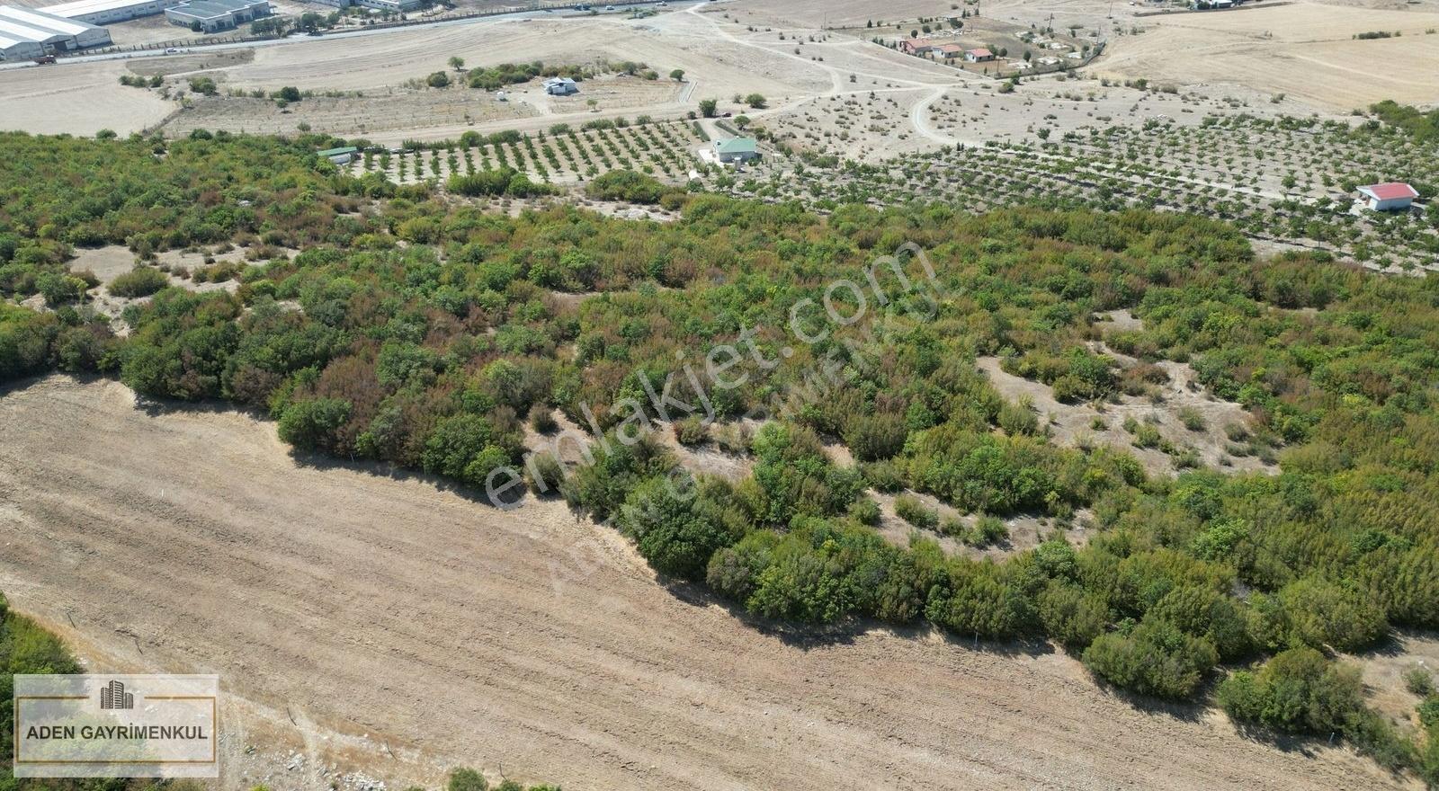 Kırklareli Vize Okçular 437 M2 Tarladan Hisseler - Görsel 10