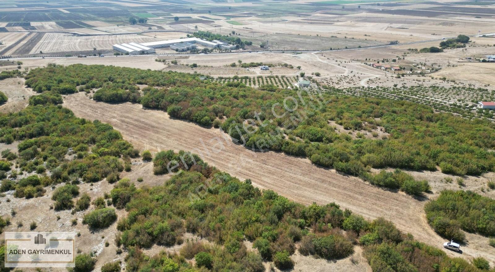Kırklareli Vize Okçular 437 M2 Tarladan Hisseler - Görsel 17