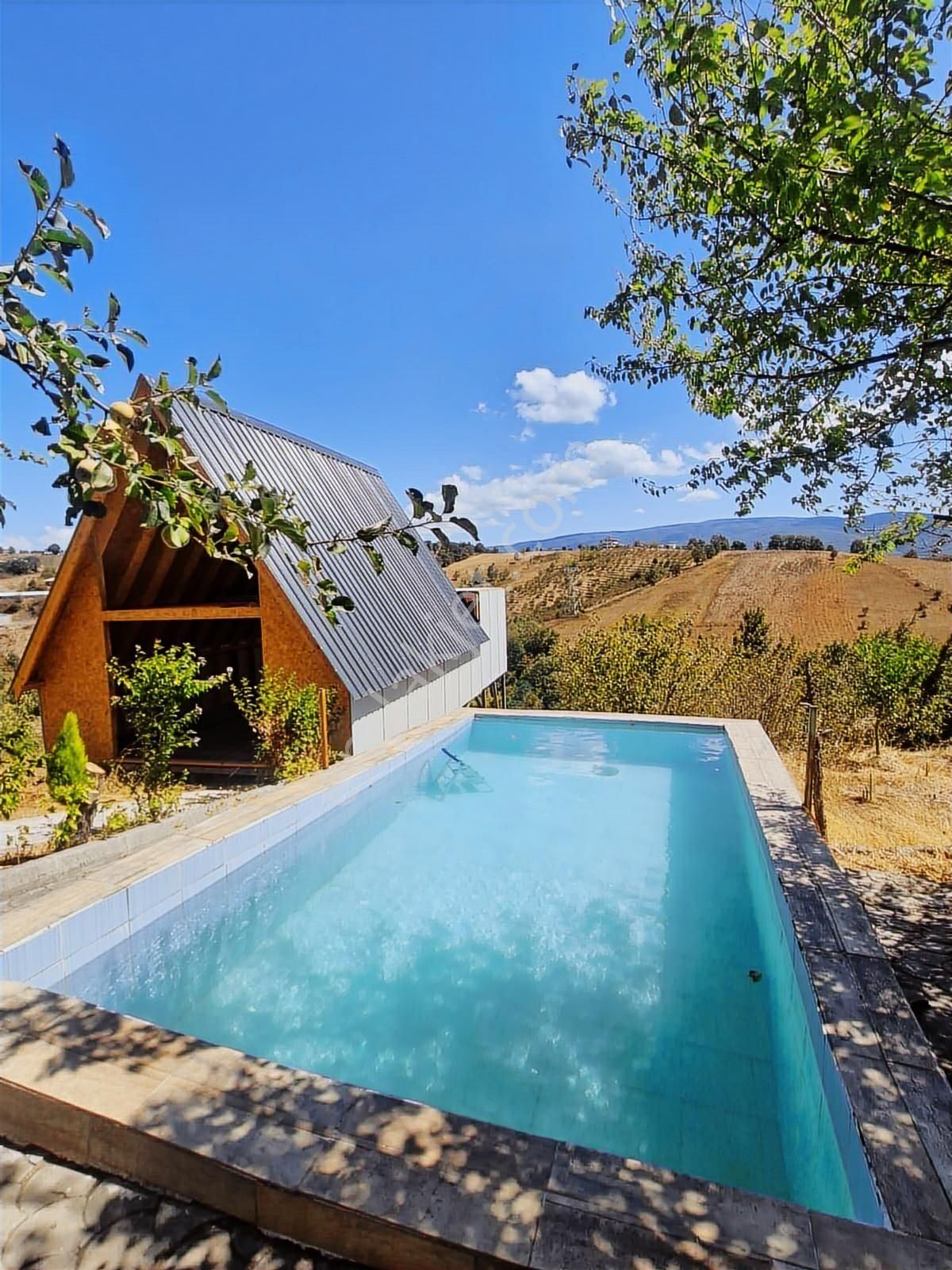 Hendek'te Yüzme Havuzu Ve Bungalovu Olan Çiftlik - Görsel 7