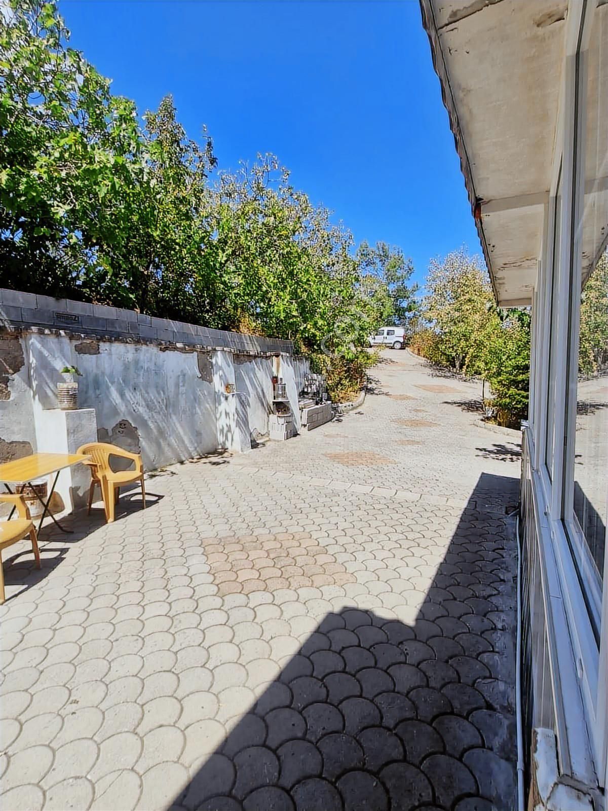 Hendek'te Yüzme Havuzu Ve Bungalovu Olan Çiftlik - Görsel 14