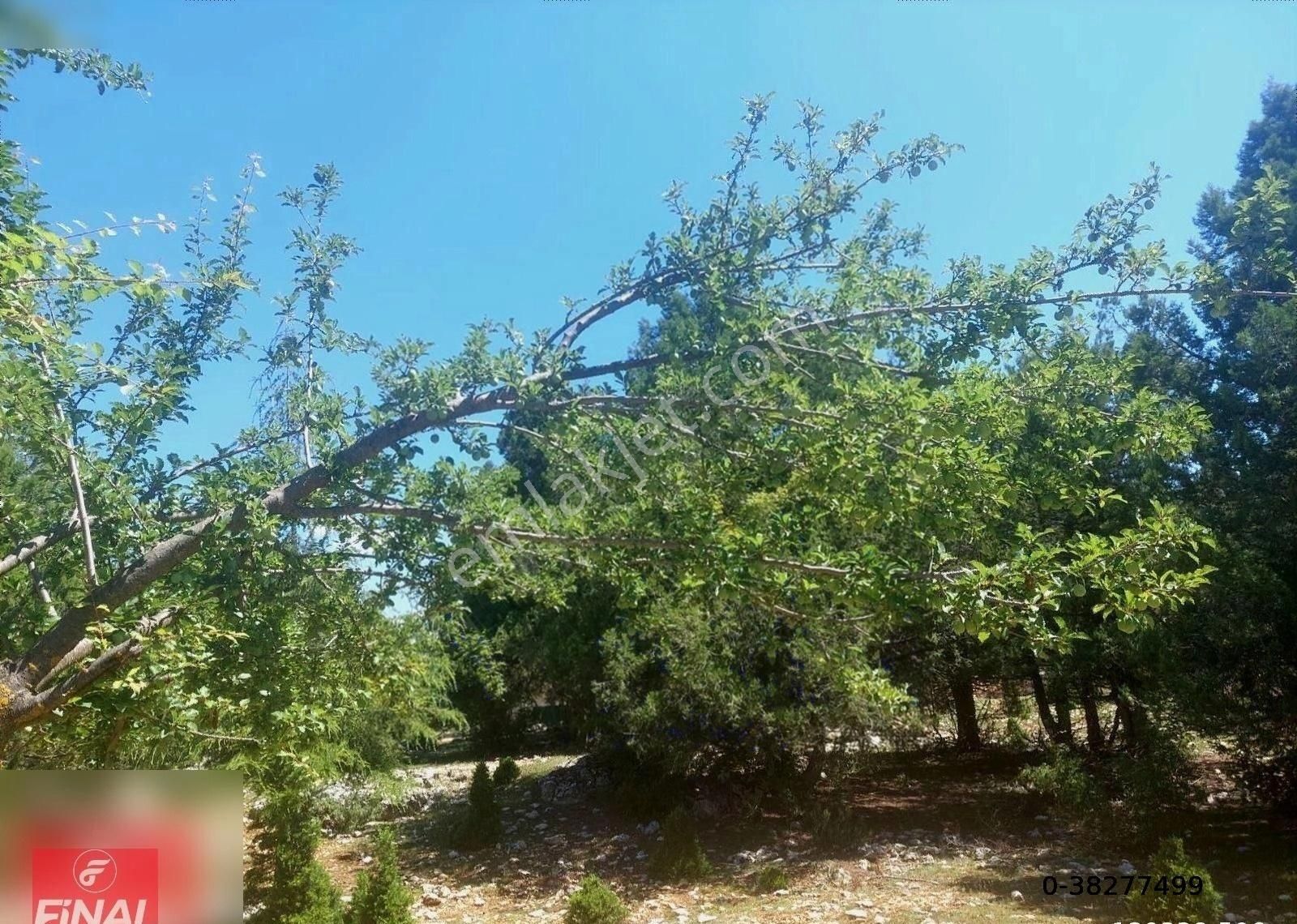 Finalden Sığır Yaylasınsa 464m² Alan İçinde Dubleks Müstakil Ev - Görsel 9