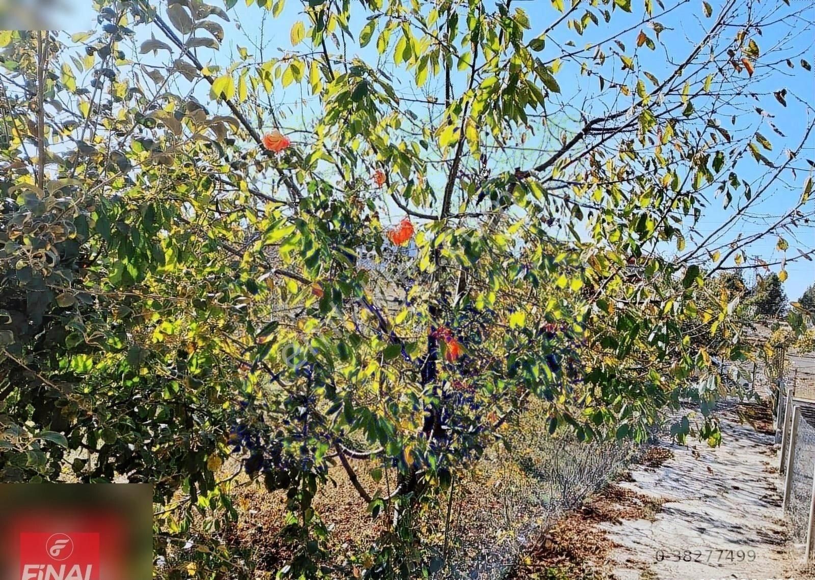 Finalden Sığır Yaylasınsa 464m² Alan İçinde Dubleks Müstakil Ev - Görsel 22