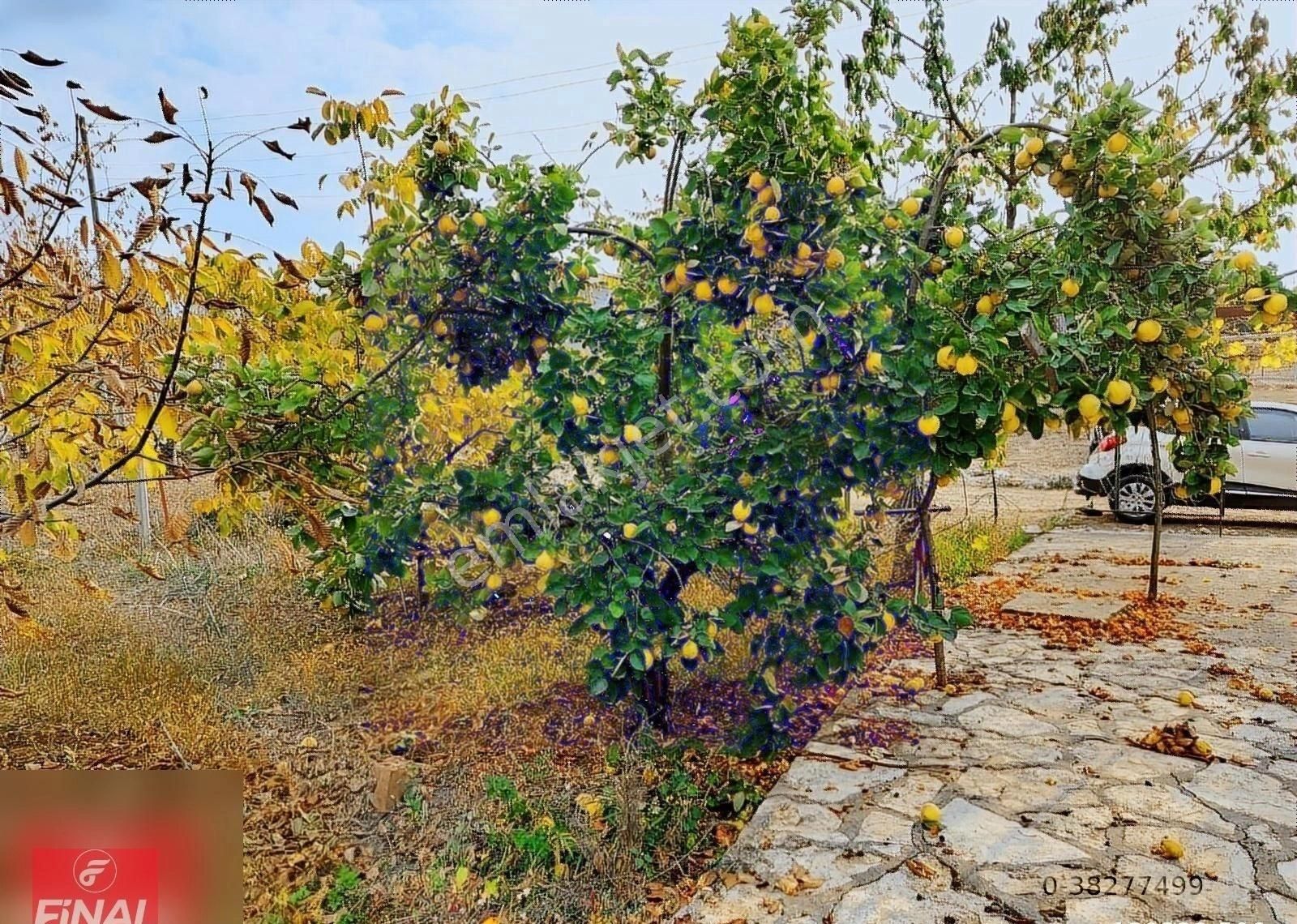 Finalden Sığır Yaylasınsa 464m² Alan İçinde Dubleks Müstakil Ev - Görsel 5