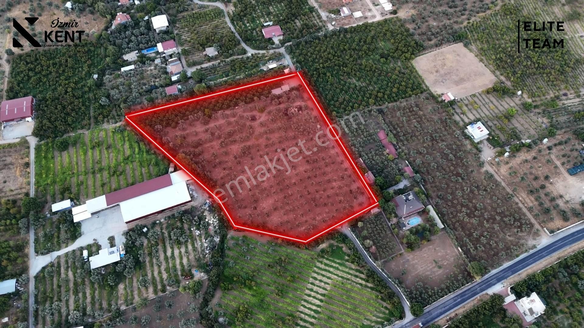 Kemalpaşa Mehmet Akif Ersoy Mahallesi'nde 8.192 M2 Satılık Arazi - Görsel 14