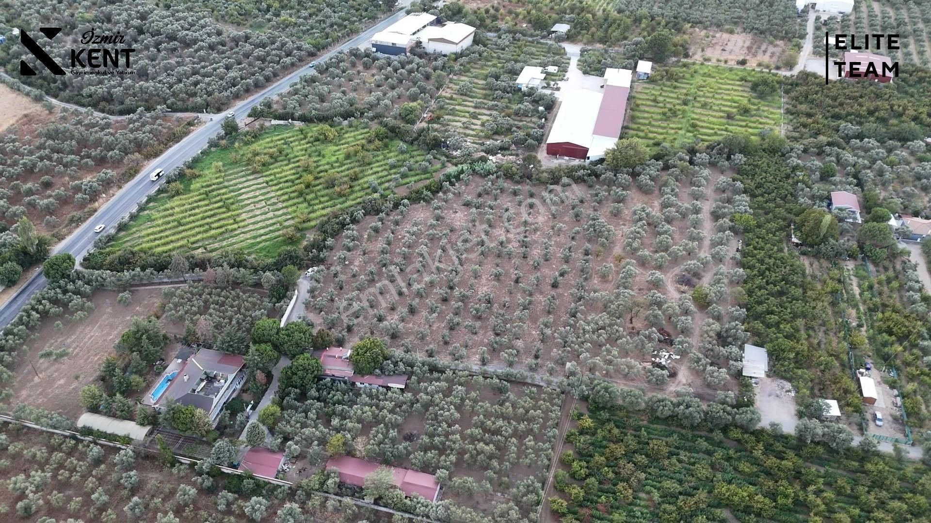 Kemalpaşa Mehmet Akif Ersoy Mahallesi'nde 8.192 M2 Satılık Arazi - Görsel 4