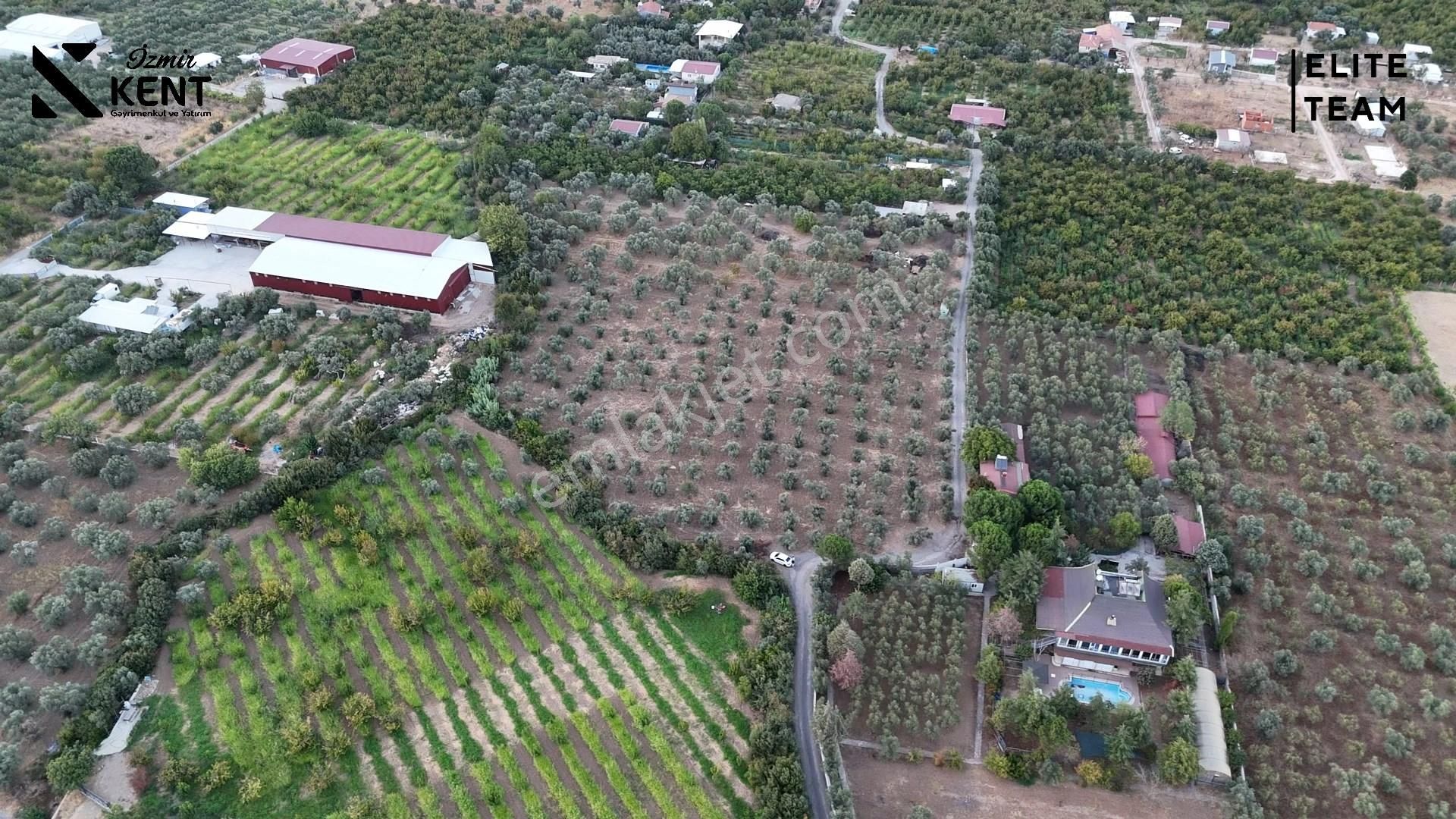 Kemalpaşa Mehmet Akif Ersoy Mahallesi'nde 8.192 M2 Satılık Arazi - Görsel 9