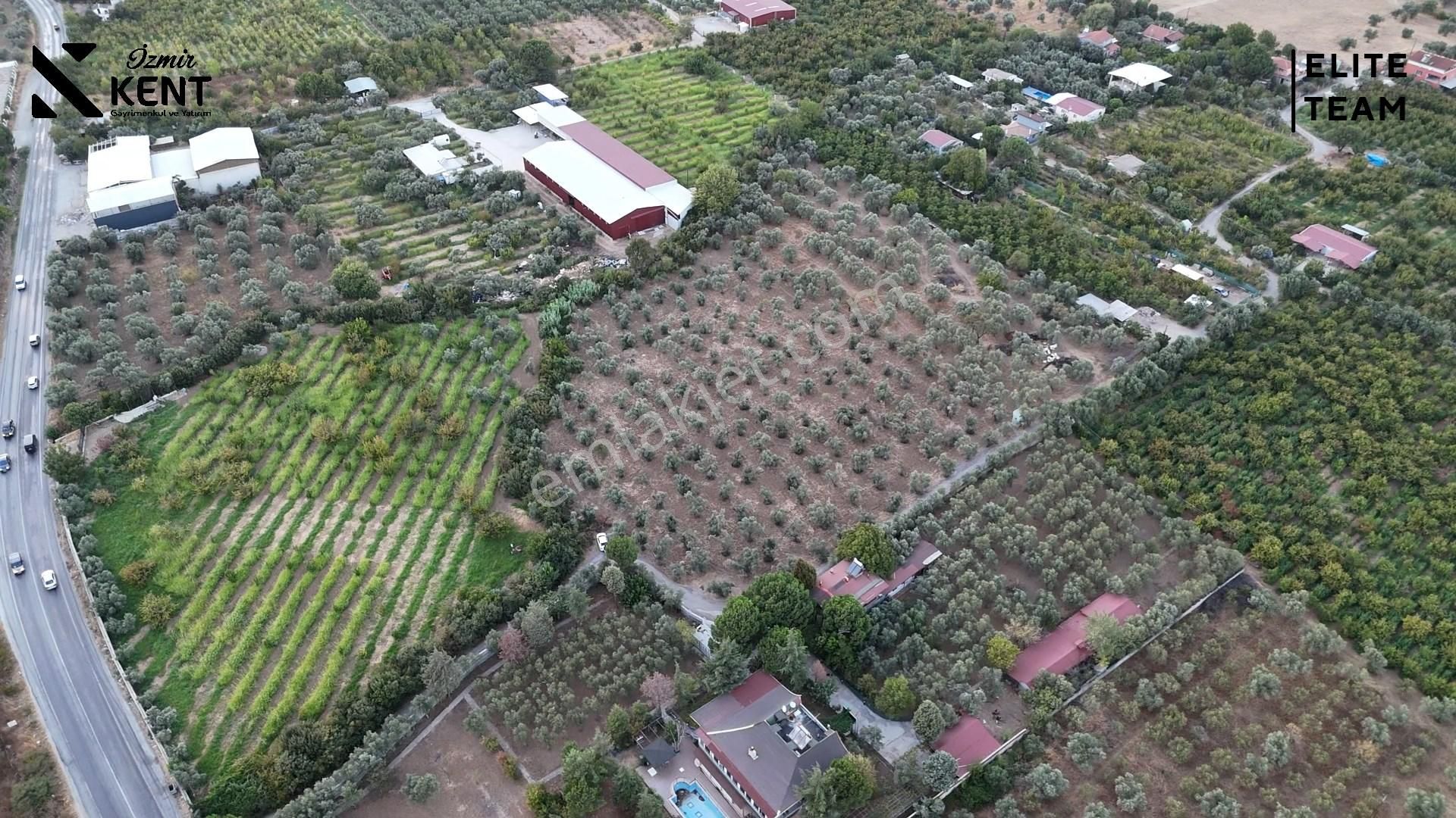 Kemalpaşa Mehmet Akif Ersoy Mahallesi'nde 8.192 M2 Satılık Arazi - Görsel 16