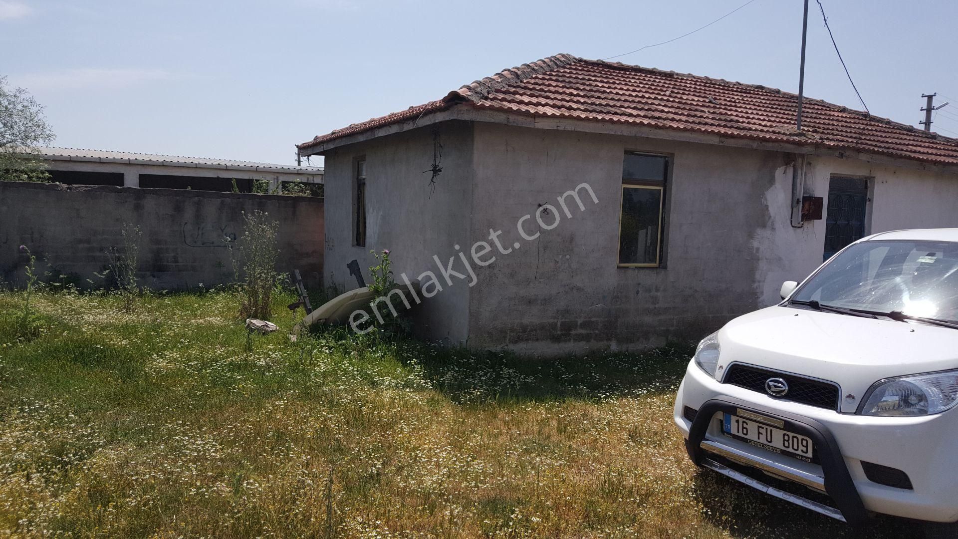 Bursa Karacabey Ovahamidiye De Köy İçi Satılık Arsa - Görsel 8