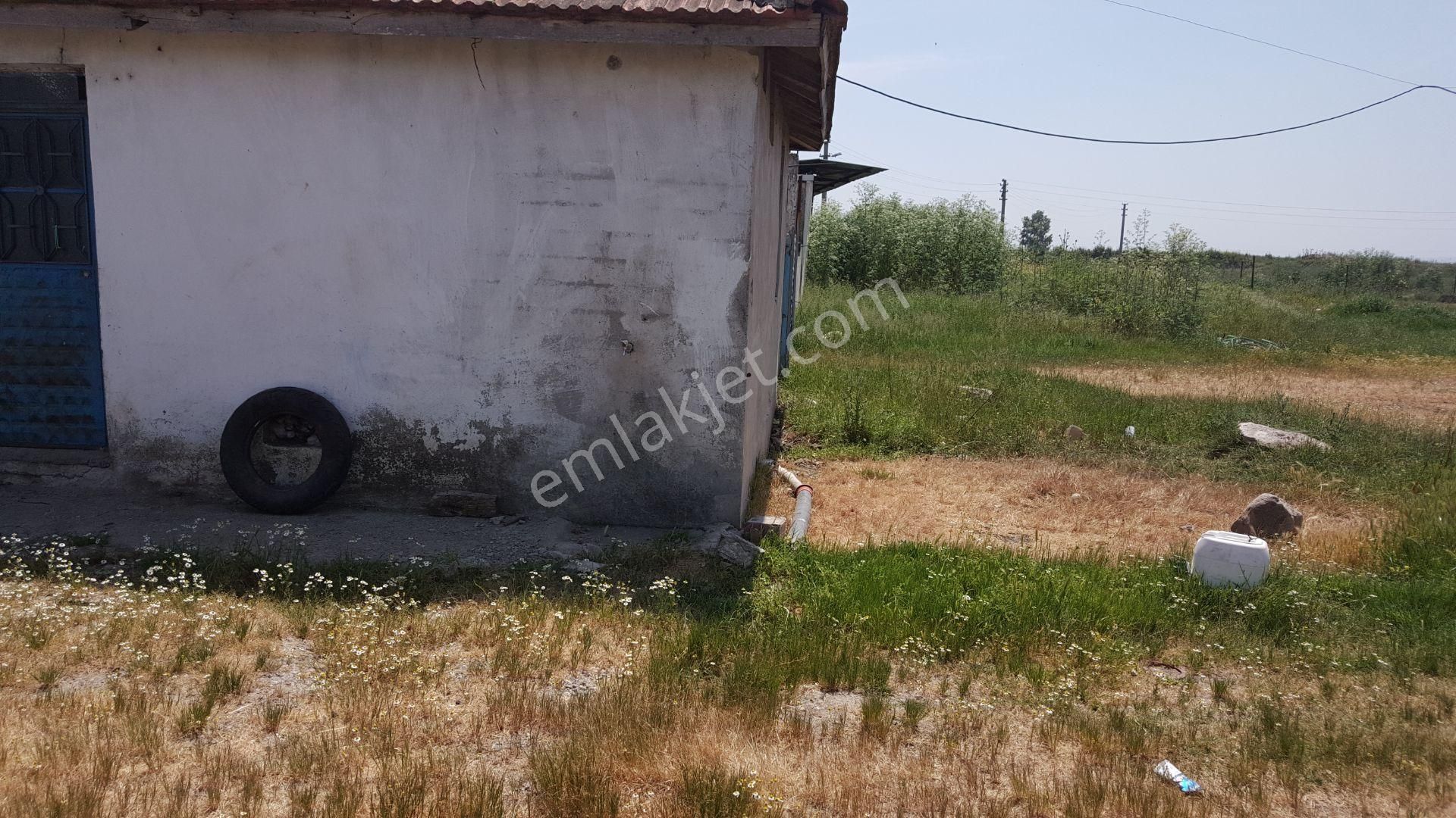 Bursa Karacabey Ovahamidiye De Köy İçi Satılık Arsa - Görsel 9